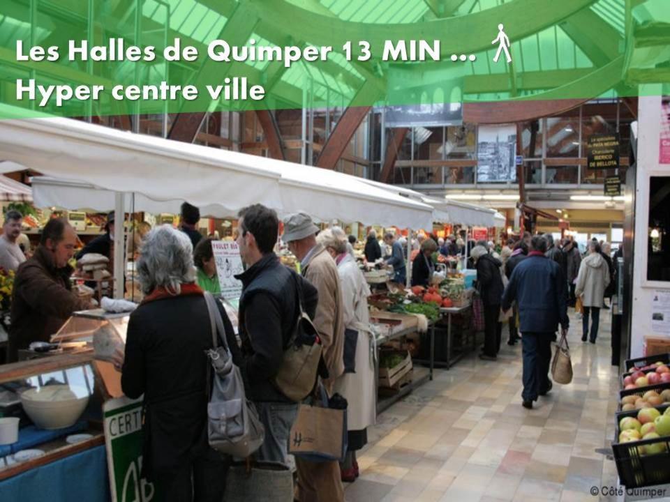 Ferienwohnung Le Nid 2 Quimper By Nid'Ouest Exterior foto